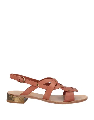 Tod's Sandals In Brown
