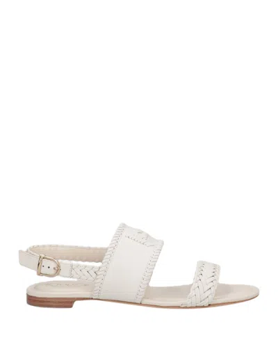 Tod's Sandals In White