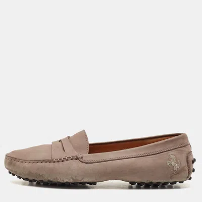 Tod's X Ferrari Grey Nubuck Leather Slip On Loafers In Brown