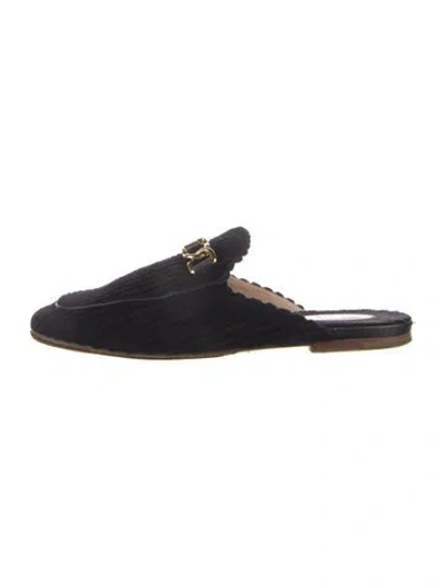 Pre-owned Tod's Velvet Chain-link Accents Mules In Black