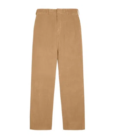 Tod's Velvet Chinos In Brown