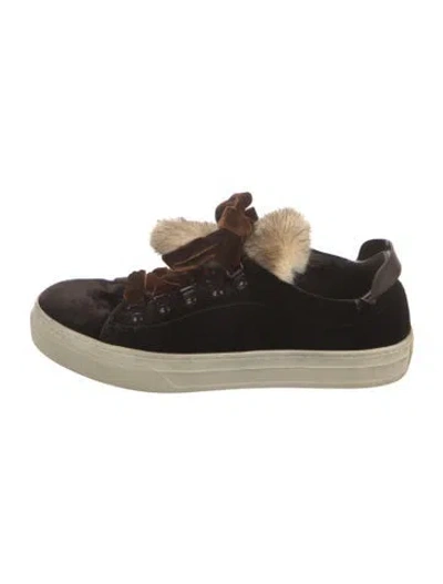 Pre-owned Tod's Velvet Sneakers