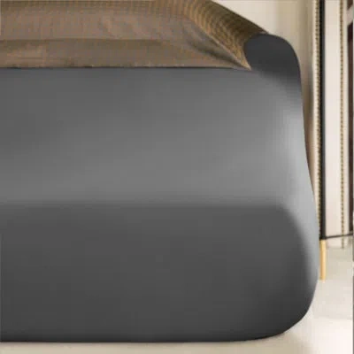 Togas Dixon Solid Color 100% Cotton Flat Sheet In Warm Gray;caramel Brown;warm Gray;carame