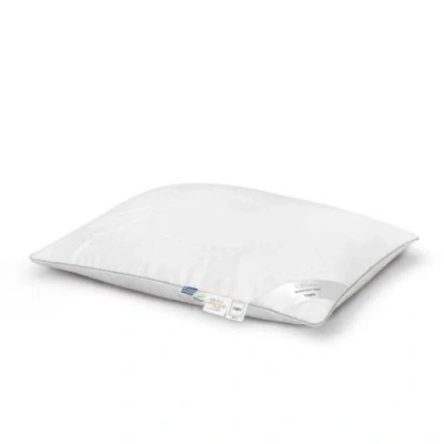 Togas Ilbama Eucalyptus Fiber Pillow In White