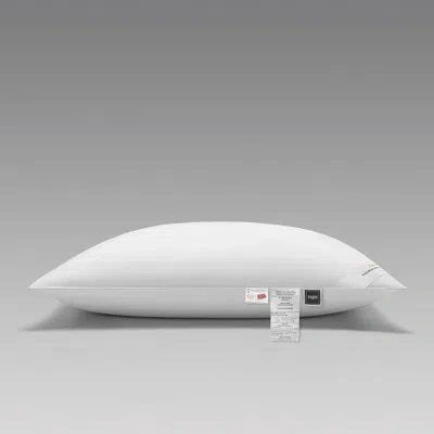 Togas Kaiser Down Medium Support Pillow In White