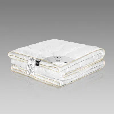 Togas Maestro All Season Wool Down Alternative Comforter In White
