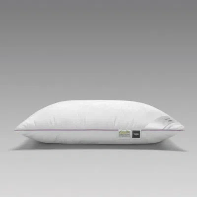 Togas Milk Dreams Polyester Support Pillow In White