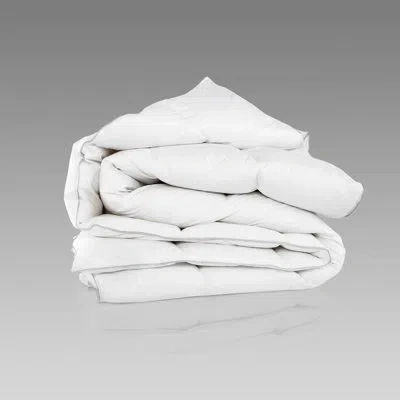 Togas Nobilis Warm Goose Down Comforter In White