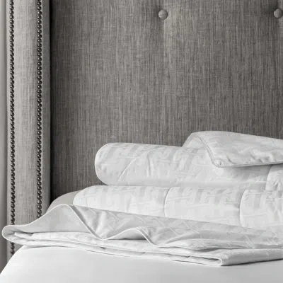 Togas Selena Light Summer Silk Down Alternative Comforter In White