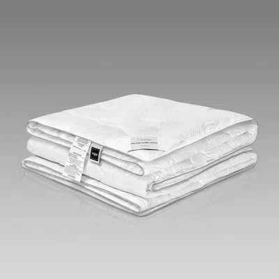 Togas Viento All Season Wool Down Alternative Comforter In White