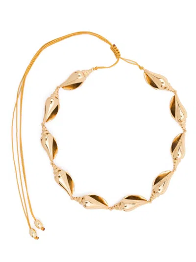 Tohum Concha Colubra Necklace In Gold