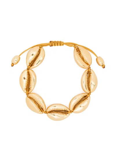 Tohum Large Concha Puka Bracelet In 金色
