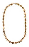 Tohum New Generation Concha Puka Long Necklace In Gold