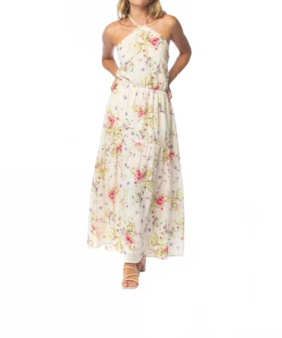 Tolani Bari Maxi Dress In Floral In Neutral