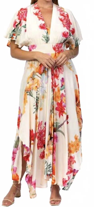 Tolani Daphne Garden Dress In Floral In White