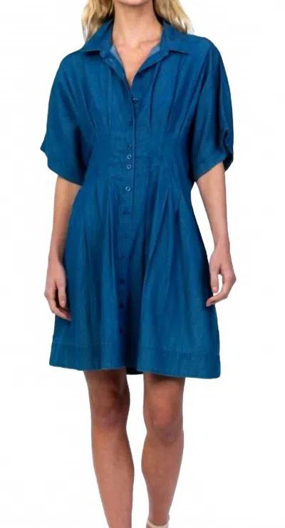 Tolani Holden Dress In Azure In Blue