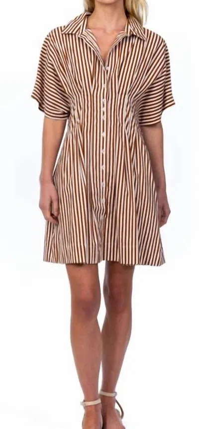 Tolani Holden Dress In Cocoa In Brown