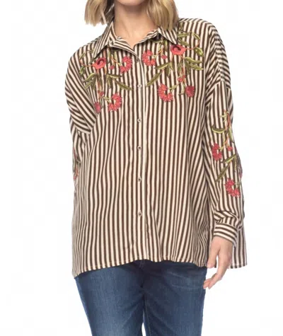 Tolani Kennedy Stripe Blouse In Brown In Multi