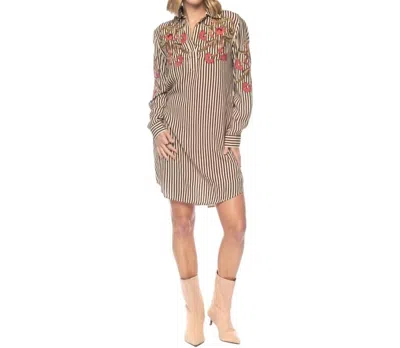 Tolani Tashi Dress In Brown