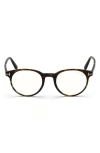 Tom Ford 53mm Square Blue Light Blocking Glasses In Havana/blue Block