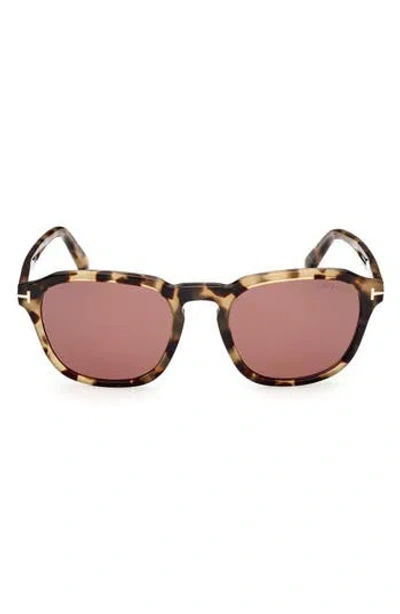 Tom Ford 52mm Round Sunglasses In Brown