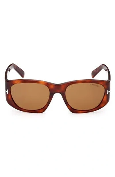 Tom Ford 53mm Square Sunglasses In Brown