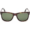 Tom Ford Men's Sinatra Acetate Square Sunglasses In Havana Gunmetal/green