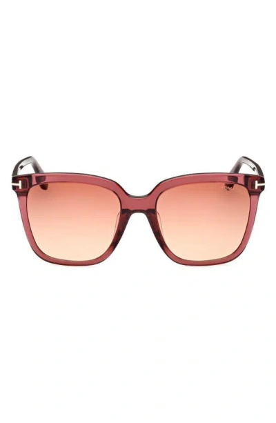 Tom Ford 55mm Butterfly Sunglasses In Shiny Bordeaux / Bordeaux