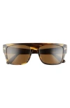 Tom Ford Dunning-02 55mm Rectangular Sunglasses In Tortoise