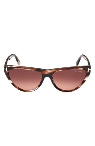 Tom Ford 56mm Cat Eye Sunglasses In Brown