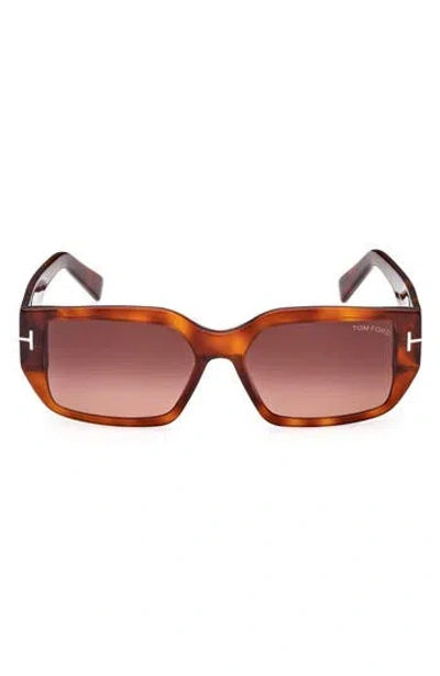 Tom Ford 56mm Square Sunglasses In Blonde Havana/bordeaux