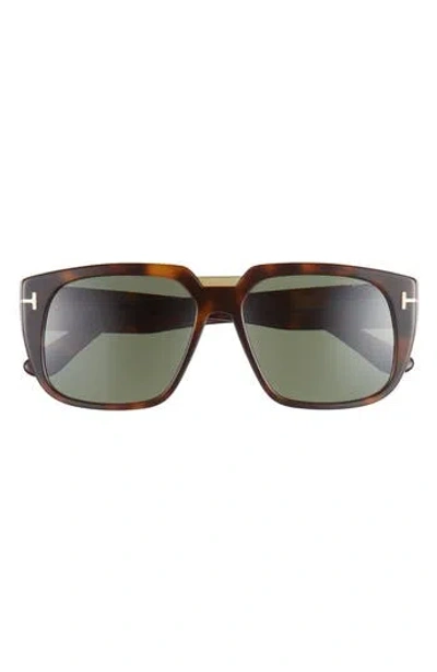 Tom Ford 56mm Square Sunglasses In Havana/green