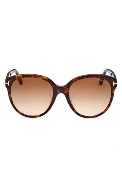 Tom Ford 58mm Round Sunglasses In Dark Havana/gradient Brown