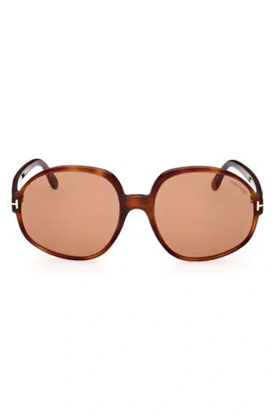 Tom Ford 61mm Round Sunglasses In Brown