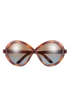 Tom Ford 68mm Gradient Butterfly Sunglasses In Blonde Havana/gradient Brown