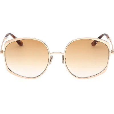 Tom Ford Abbey 58mm Round Sunglasses In Shiny Pale Gold Shiny Classic Havana/t/logo