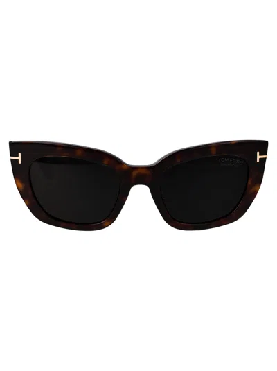 Tom Ford Acetate Havana Sunglasses In Black