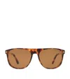 Tom Ford Acetate Lionel-02 Sunglasses In Brown