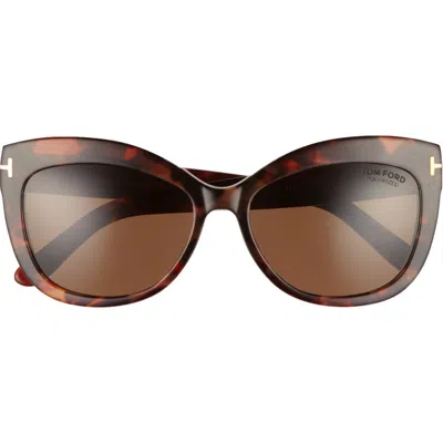 Tom Ford Alistair 56mm Gradient Sunglasses In Brown