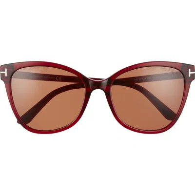 Tom Ford Ani 58mm Gradient Cat Eye Sunglasses In Multi