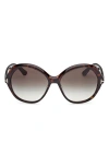 Tom Ford Annabelle 60mm Gradient Round Sunglasses In Brown