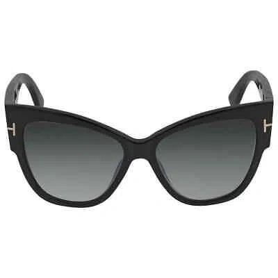 Pre-owned Tom Ford Anoushka Grey Gradient Cat Eye Ladies Sunglasses Ft0371 01b 57 In Gray