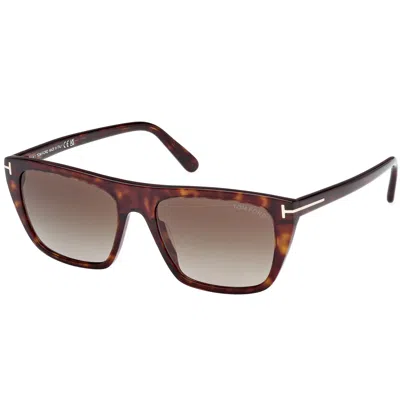 Tom Ford Aslan Sunglasses Brown