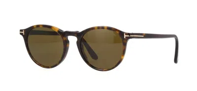Pre-owned Tom Ford Aurele Ft 0904 Dark Havana/brown (52j) Sunglasses
