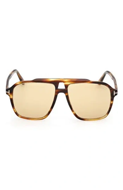Tom Ford Autari 56mm Navigator Sunglasses In Brown