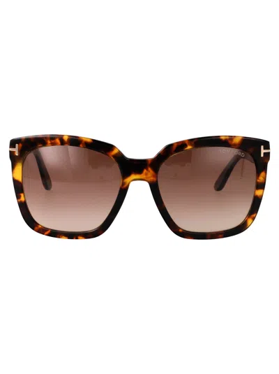 Tom Ford Avana Scura  / Marrone Grad Acetate Sunglasses