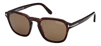 Pre-owned Tom Ford Avery Ft 0931 Havana/brown 52/21/145 Men Sunglasses