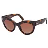 Tom Ford Lucilla 51mm Gradient Cat Eye Sunglasses In Brown