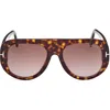 Tom Ford Cecil 55mm Pilot Sunglasses In Brown
