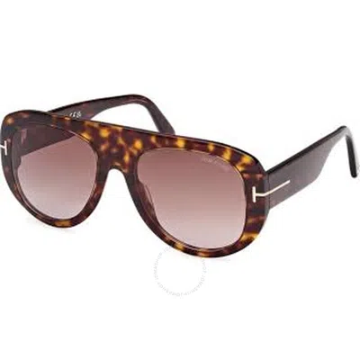 Tom Ford Cecil 55mm Pilot Sunglasses In Shiny Dark Havana/bordeaux